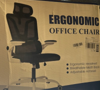 Office Chair With Adjustable Armrest