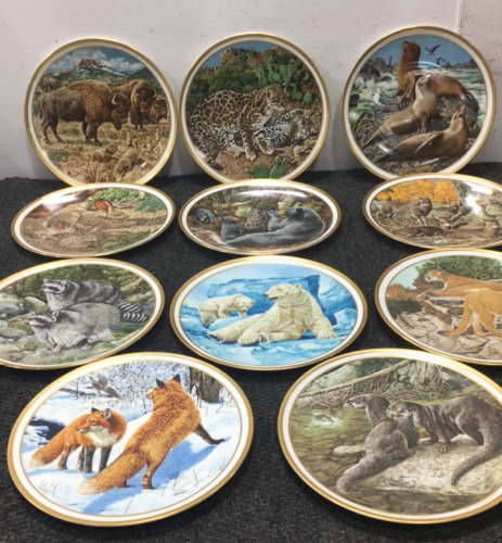 (11) American Wildlife Plates Collection