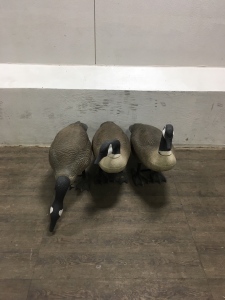 (3) Goose Decoy