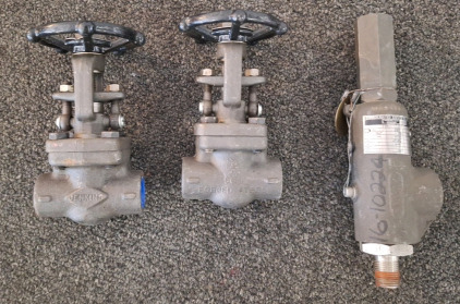 (2) JENKINS 3/4" GATE VALVES & (1) SAFETY VALVE