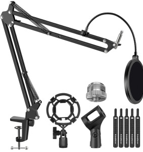 Microphone Stand With Microphone