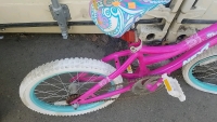 18" NEXT Pink Bike - 2