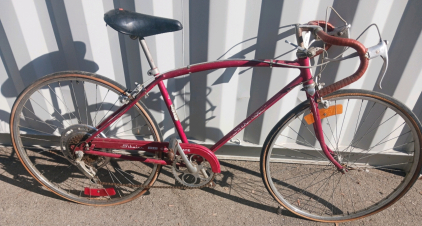 Schwinn 10 Speed Bike