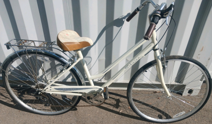 Schwinn 10 Speed Bike