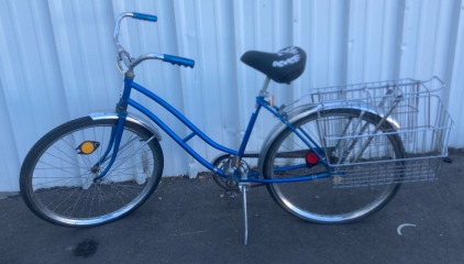 Western Flyer Galaxy Flyer Bike With Rear Basket