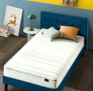 (1) Narrow twin mattress