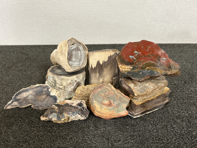 Collectible Cut and Rough Stones