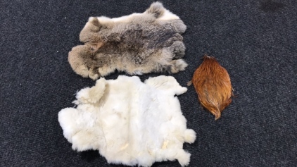 Rabbit skins and rooster neck