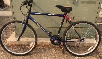 Roadmaster 15 Speed Mt.Fury