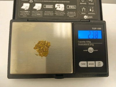 Local Gold 2.38g