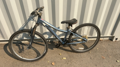26&rdquo; Specialized Mylar sport A1 13-speed bike (blue)