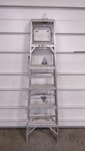 Werner (6' Folded, 3'10" When Unfolded) Ladder