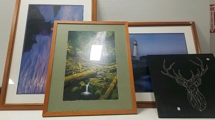 (3) Wall Pictures, (1) Deer Wall decor