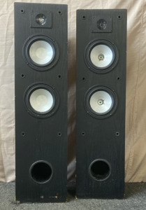 (2) Tall Speakers