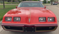 1979 PONTIAC FIREBIRD RED BIRD - HARD TO FIND ! - 2