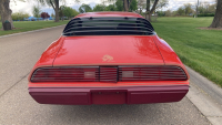 1979 PONTIAC FIREBIRD RED BIRD - HARD TO FIND ! - 5