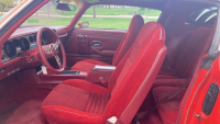 1979 PONTIAC FIREBIRD RED BIRD - HARD TO FIND ! - 10