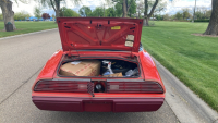 1979 PONTIAC FIREBIRD RED BIRD - HARD TO FIND ! - 11