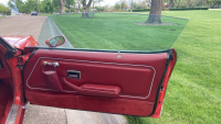1979 PONTIAC FIREBIRD RED BIRD - HARD TO FIND ! - 13