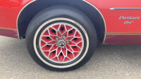 1979 PONTIAC FIREBIRD RED BIRD - HARD TO FIND ! - 19
