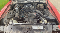 1979 PONTIAC FIREBIRD RED BIRD - HARD TO FIND ! - 21