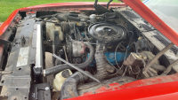 1979 PONTIAC FIREBIRD RED BIRD - HARD TO FIND ! - 22