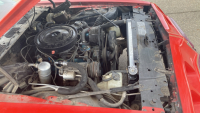 1979 PONTIAC FIREBIRD RED BIRD - HARD TO FIND ! - 23
