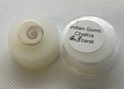 Indian Gomti Chakra 6.3 Ct.