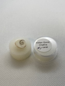 Indian Gomti Chakra 5.1 Ct.