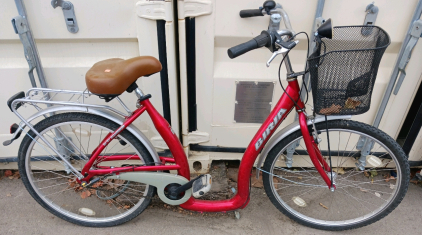 Brian Easy Boarding Bike