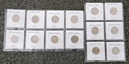 (14) Buffalo Nickles
