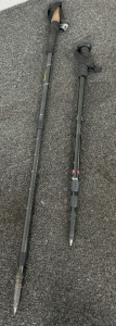 (2) Walking Sticks