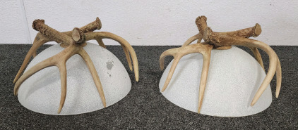 (2) Antler Light Fixtures