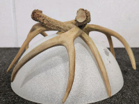 (2) Antler Light Fixtures - 3