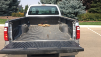 2015 FORD F-250 - 4X4 - BED LINER! - 22