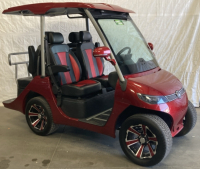 2022 EVOLUTION D3 GOLF CART - LITHIUM BATTERY - 3