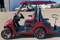2022 EVOLUTION D3 GOLF CART - LITHIUM BATTERY - 5