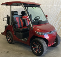 2022 EVOLUTION D3 GOLF CART - LITHIUM BATTERY - 6
