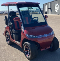 2022 EVOLUTION D3 GOLF CART - LITHIUM BATTERY - 11