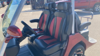 2022 EVOLUTION D3 GOLF CART - LITHIUM BATTERY - 14
