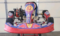 Track Built Go Kart, Fire Suit, Helmet, Shoes, Neck Braces And Extra Tires And Work Stand- Track Ready! - 7