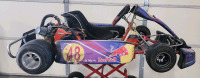 Track Built Go Kart, Fire Suit, Helmet, Shoes, Neck Braces And Extra Tires And Work Stand- Track Ready! - 2