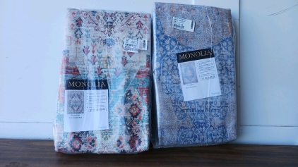 2) Manolia Area Rugs 2'x3' (r6)