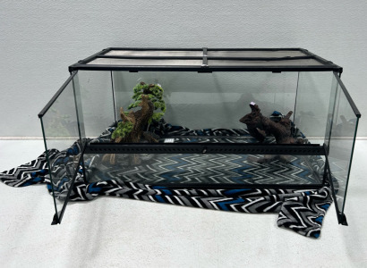 Reptile tank