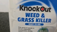 (1) Jug of Knock Out Weed & Grass Killer (1) Jug of Spectracide Weed & Grass Killer - 3
