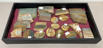 Owyhee Jasper Display Case W/ 24 Pieces Of Owyhee Jasper Slabs