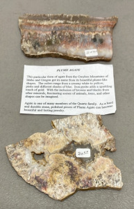 (2) Plume Agate Slabs From Owyhee Mountains Of Idaho And Oregon