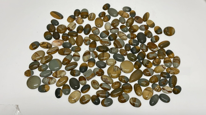 (142) Pieces Of Oval Cut And Polished Owyhee Picture Jasper For Collecting Or Jewelry Making