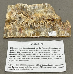 (1) Plume Agate Slab From Owyhee Mountains Of Idaho And Oregon