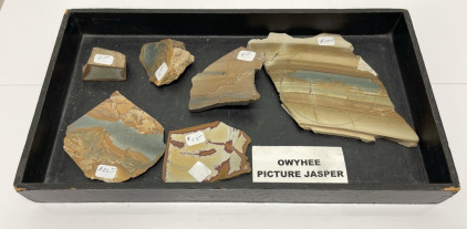 (6) Owyhee Picture Jasper Slabs For Jewelry Making Or Collecting W/ Display Box